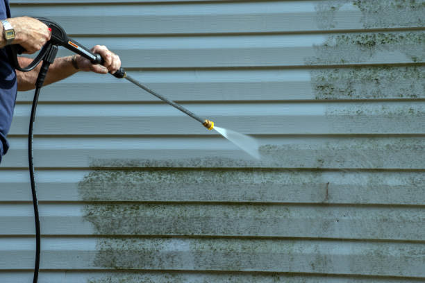 Best Local Pressure Washing Services  in Harlem, FL