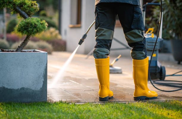 Best Best Pressure Washing Companies  in Harlem, FL